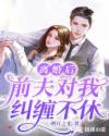 离婚后,前夫对我纠缠不休!全文免费阅读