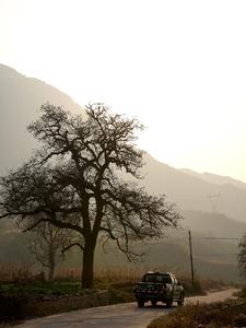 ����Ի�ȫ������Ķ�