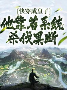 快穿成皇子,他靠着系统杀伐果断全文免费阅读